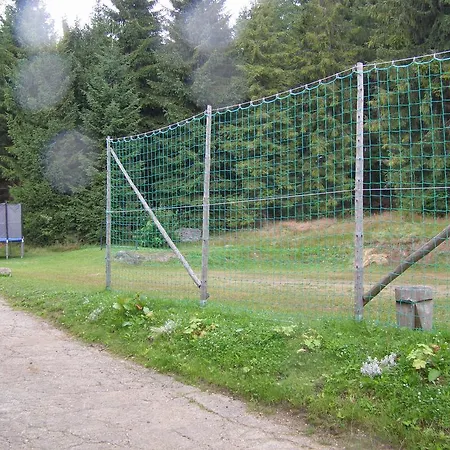 Penzion Borovice 3*