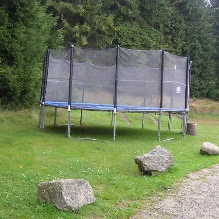 Penzion Borovice 3*